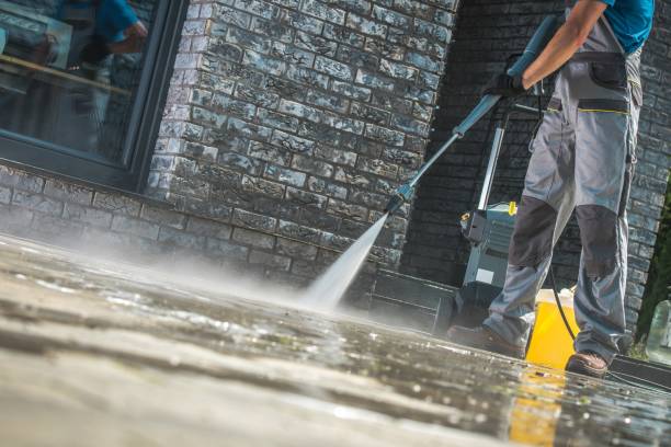 Best Building Exterior Washing  in Junction City, CA