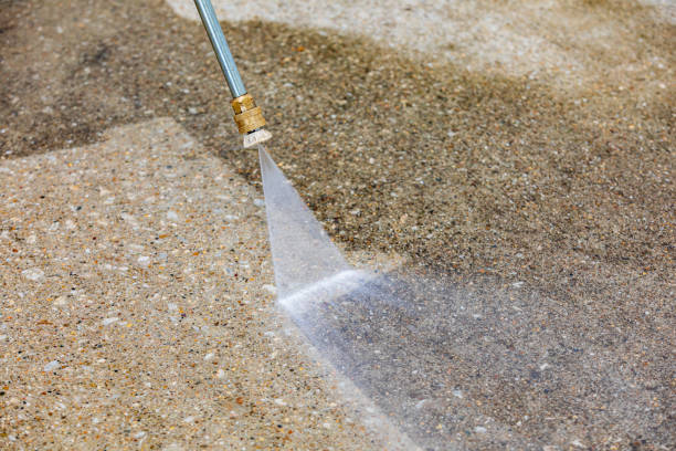 Best Animal Enclosure Cleaning  in Junction City, CA
